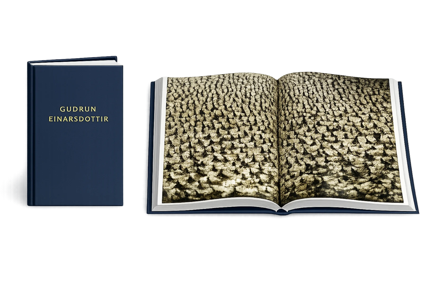 Guðrún Einarsdóttir — monograph by Crymogea