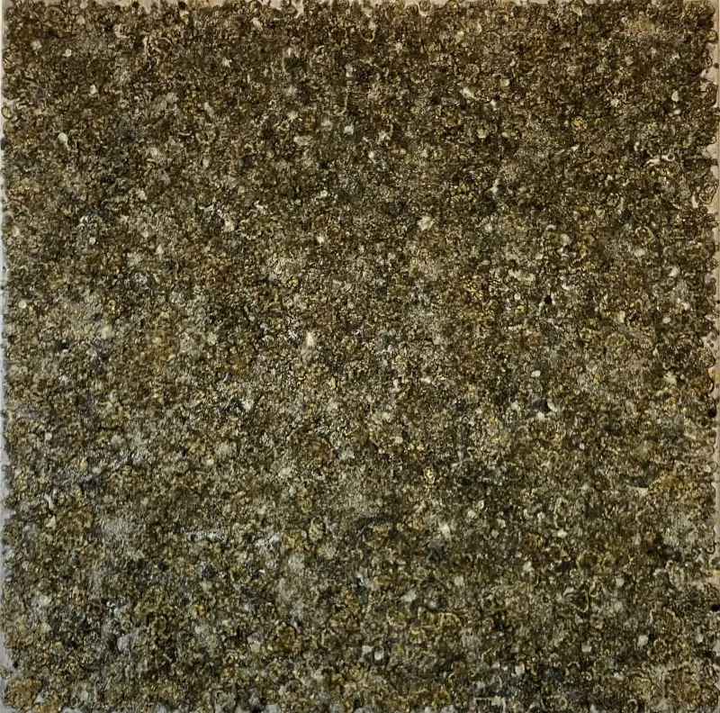 Materia Landscape 45, oil on canvas