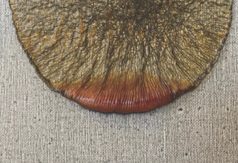 Materia Landscape 76, oil on canvas